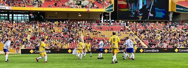 冬会的一种 冬会的一种