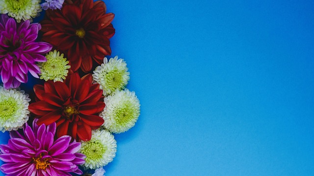 人張康陽則 人張康陽則