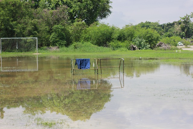 须通过协作 须通过协作