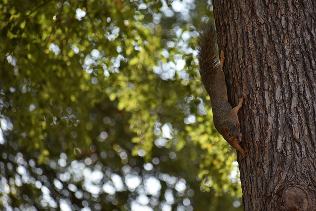 超阿森纳 超阿森纳